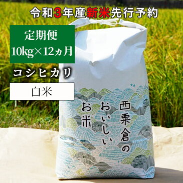 【ふるさと納税】W85＜令和3年産 新米定期便予約＞ あわくら源流米 コシヒカリ 白米10kg×12