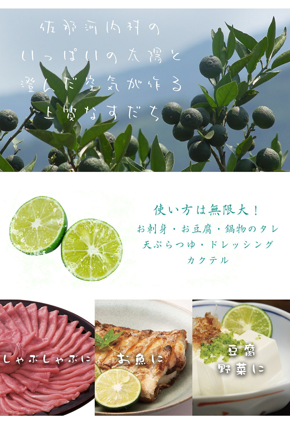 【ふるさと納税】佐那河内名産！露地すだち　1kg(2L〜3L）※2021年8月下旬ごろから発送