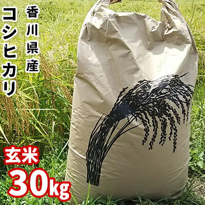 【ふるさと納税】はなまる農園 令和3年 新米予約 香川県産「コシヒカリ（玄米）30kg」　【お米・玄米・コシヒカリ】　お届け：2021年9月10日〜2022年1月31日