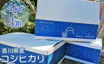 【ふるさと納税】令和3年 コシヒカリ新米予約！（精米12kg）4kg×3　【お米・コシヒカリ】　お届け：2021年9月上旬〜2022年1月下旬