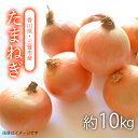【ふるさと納税】三豊の玉ねぎ10kg 香川の土から育つ、甘くてシャキシャキのたまねぎ、三豊市の太陽を浴びて、ひときわ輝く黄金色、毎日の食卓に、香川県産の新鮮な味...