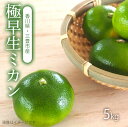 【ふるさと納税】【配送不可地域:北海道・沖縄県・離島】極早生(ごくわせ)みかん 5kg ミカン 蜜柑 極早生みかん 極早生ミカン 極早生蜜柑、香川の緑が輝く、爽...