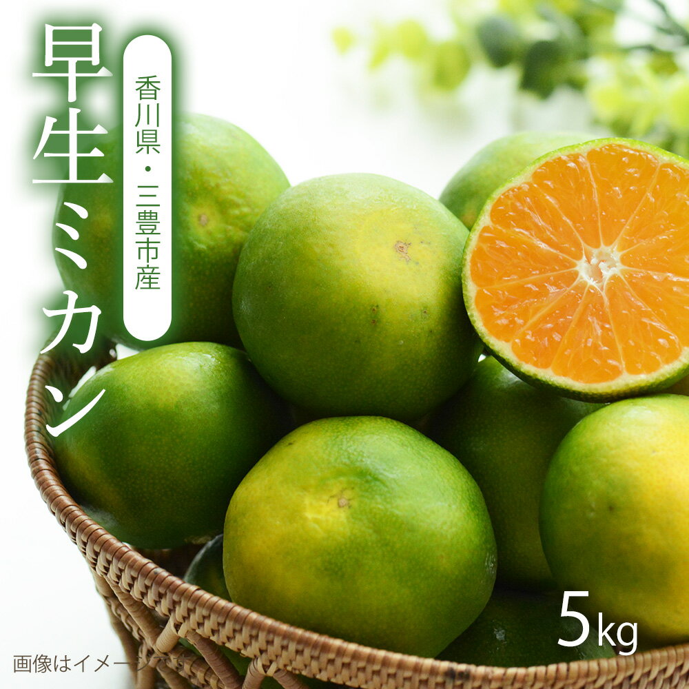 【ふるさと納税】【配送不可地域:北海道・沖縄県・離島】早生(わせ)みかん 5kg、新鮮な朝をお届け、日の丸ブランドの早生ミカン、香川からの爽やかな贈り物、5kgの早生ミカン、一粒で感じる、太陽をたっぷり浴びた味わい、香川の恵み、あなたの手に。日の丸ブランドの誇り
