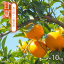【ふるさと納税】【配送不可地域:北海道・沖縄県・離島】甘夏 10kg 香川の太陽を一身に浴びた、甘くて爽やかな甘夏、10kgの甘い贈り物、三豊市からあなたのもと...