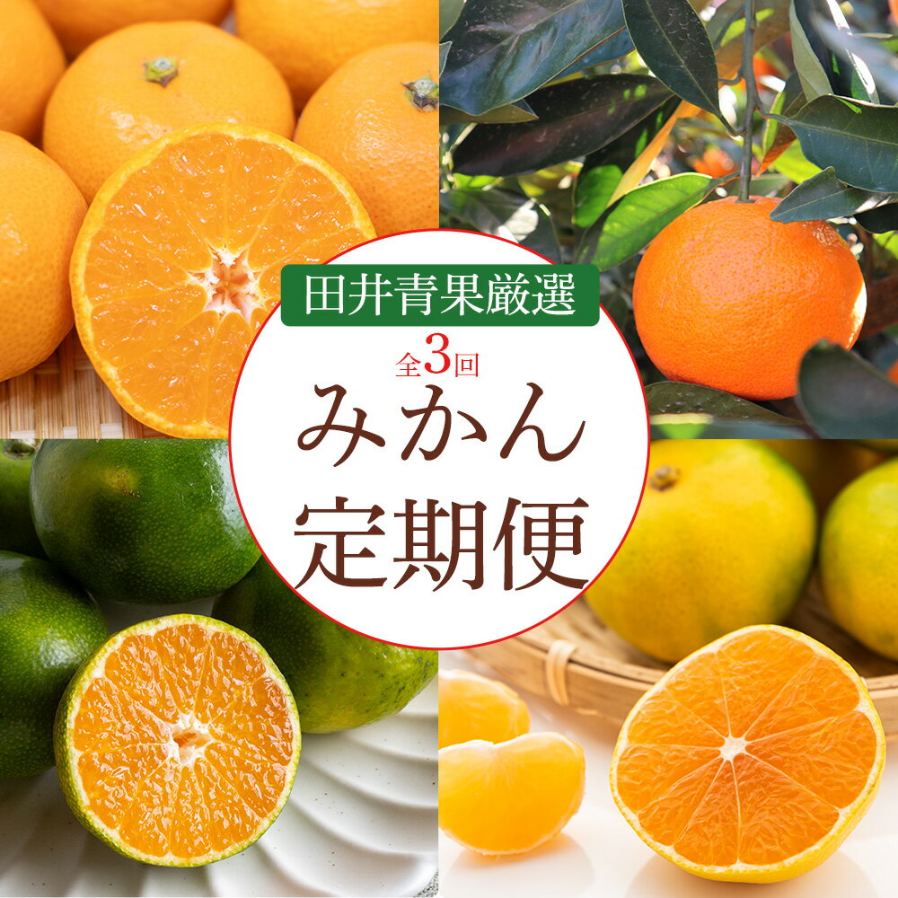 【ふるさと納税】【3回定期便】三豊のみかん【定期便】5kg　直送で届く、毎回新鮮！みかん定期便の楽しみ、甘さと鮮度、第3回目もお約束。みかん定期便で健康を、季節ごとの味わいを、定期便で。みかんの旬をお届け、田井青果厳選、みかんの魅力を定期便で直送！のサムネイル