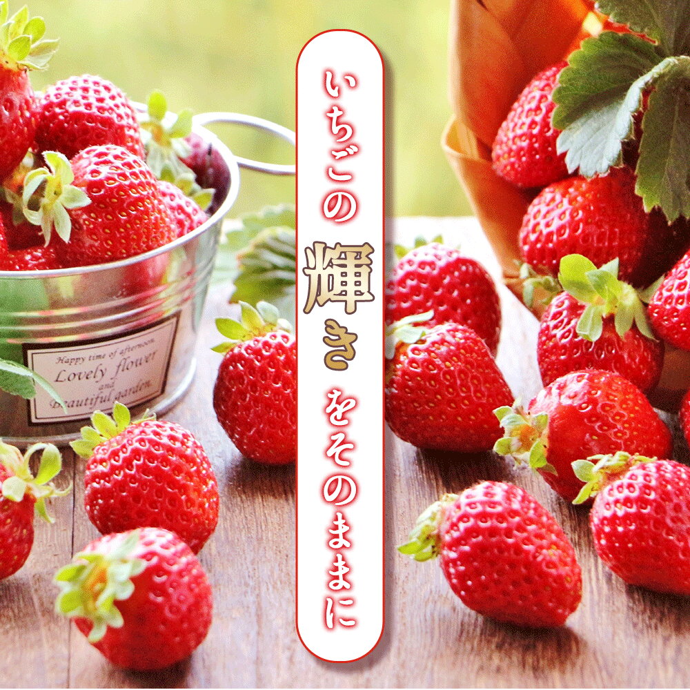 �ڤդ뤵��Ǽ�ǡۤ���������� ̵ź�� ���� ���̤��Ҥ���� ����������δŤ��ȹ��򤽤Τޤޤ� ����� �ӵ� ������ ������ �� �� ���� ��̣���� �إ륷�� �������� �͵� ��󥭥� ��� ��˭�� ���� ���̤� ������ 10,000�� �� ������ ����̵�� ����ë�ե�����