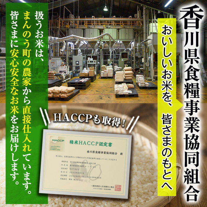 【ふるさと納税】＜令和5年産＞まんのう町七箇産 コシヒカリ(15kg)国産 お米 こしひかり ご飯 白米 ライス【man033】【香川県食糧事業協同組合】