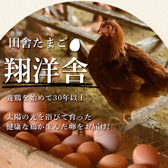 【ふるさと納税】香川県産 平飼いたまご(計30個・10個×3パック) 国産 たまご 卵 鶏卵 産地直送 卵かけご飯 卵焼き【man120】【翔洋舎】