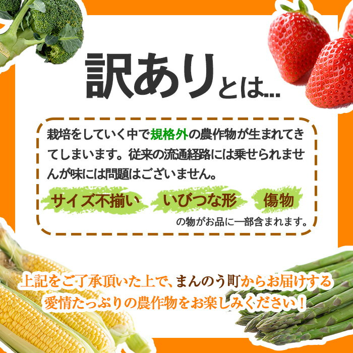 【ふるさと納税】＜期間限定！2024年2月下旬以降順次発送予定＞＜訳あり・家庭用＞春芽！アスパラガス「さぬきのめざめ」(約1kg)国産 野菜 アスパラガス アスパラ 産地直送 新鮮 冷蔵便 【man118】【Aglio nero】