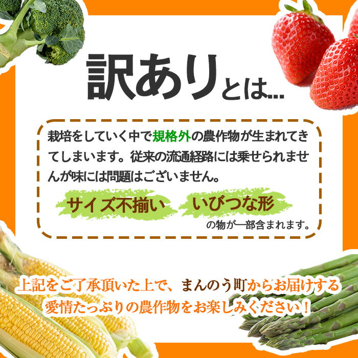 【ふるさと納税】＜先行予約！2024年3月下旬以降順次発送予定＞＜訳あり＞＜選べる容量＞香川県産 さぬきひめいちご(約500g・約1kg)国産 果物 くだもの 苺 イチゴ フルーツ 産地直送 新鮮 冷蔵便 【man106・man107】【Aglio nero】