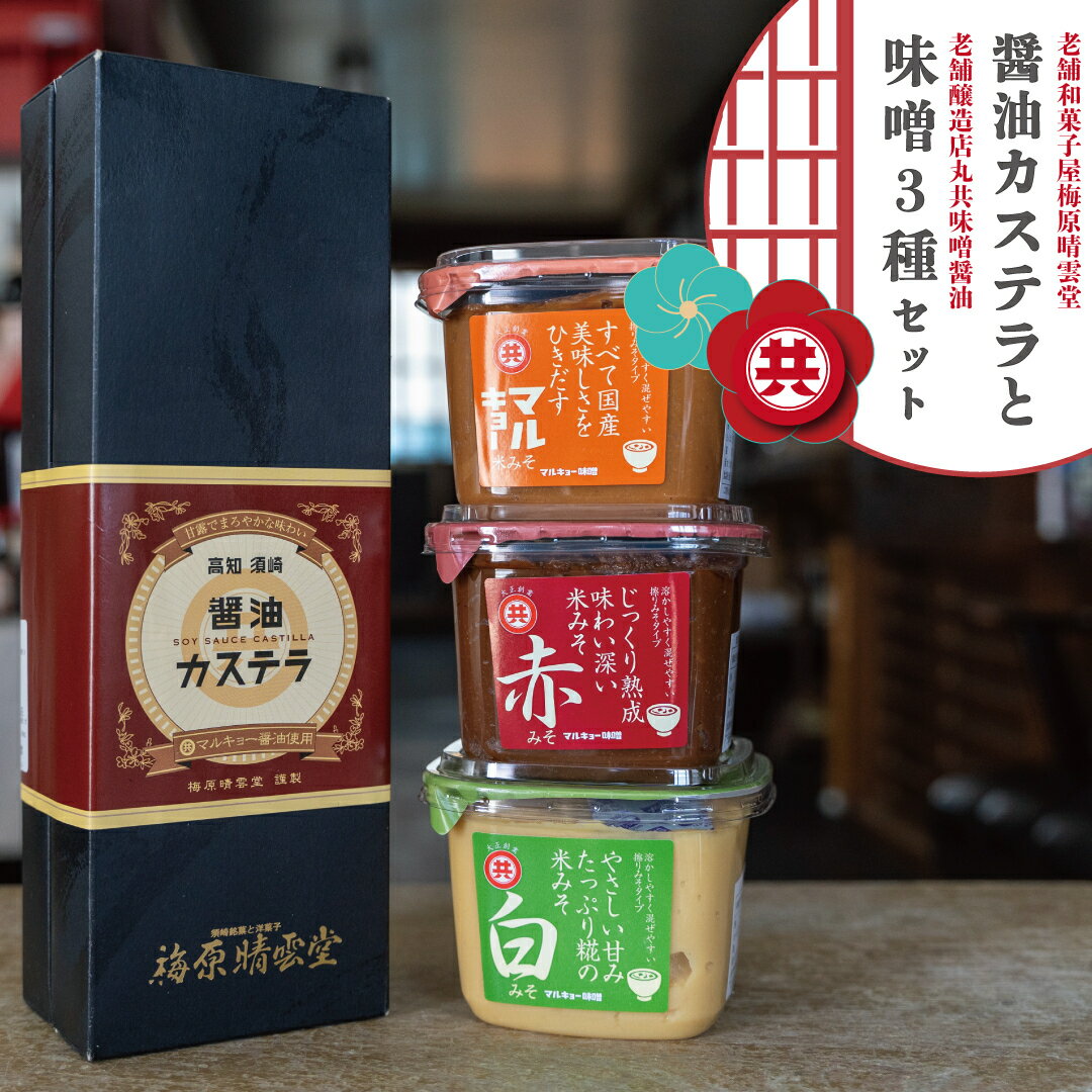 調味料 醤油カステラ 味噌 3種 国産 セット 赤味噌 白味噌 米味噌 詰め合わせ スイーツ デザート 焼き菓子 ケーキ 醤油 しょうゆ みそ 高知県 須崎市