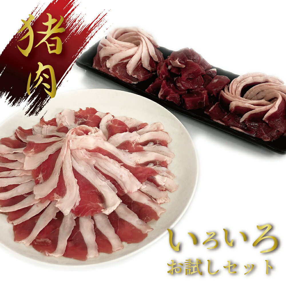 送料無料 ふるさと納税 猪肉ジビエ いろいろお試しセット 1kg ロース モモ 角切り イノシシ 猪肉 ジビエ 焼肉 鍋物 すき焼き 美肌 ビタミンb ロース肉 モモ肉 安いそれに目立つ Www Turmeric Zone