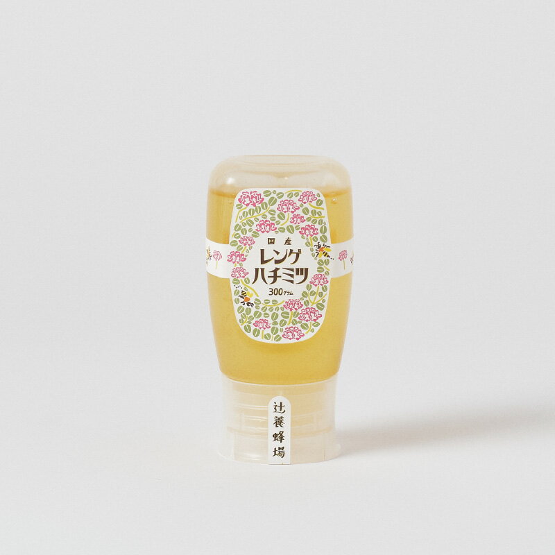 【ふるさと納税】レンゲハチミツ　300g×2【B-168】