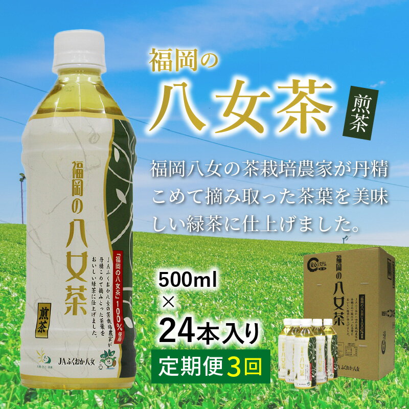 【ふるさと納税】八女茶 煎茶ペットボトル 500ml×24本 【3カ月定期便】 お茶 日本茶 常温 備蓄 飲料 ドリンク ケース 緑茶 常備品 ペットボトル【D5-029】