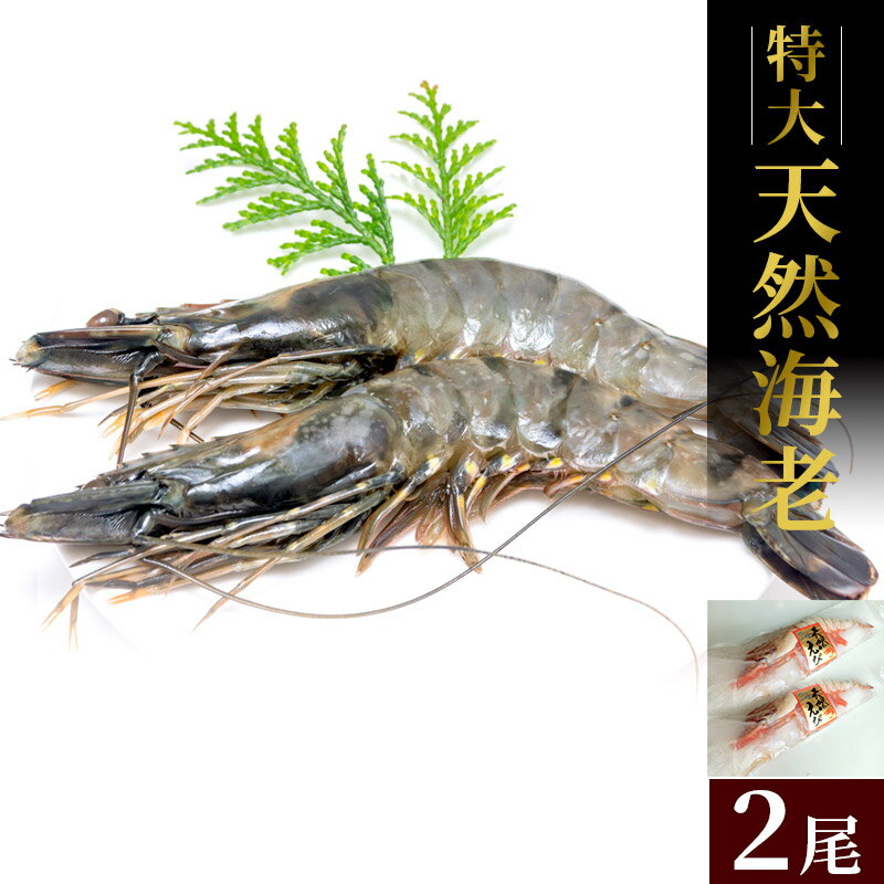 【ふるさと納税】特大 天然海老(有頭・2尾) 魚介類 エビ えび 有頭海老 2尾 エビフライ 海鮮 塩焼き 冷凍 ブラックタイガー 特大 天然 パエリア パスタ エビマヨ 手巻き バーベキュー BBQ【A5-318】のサムネイル