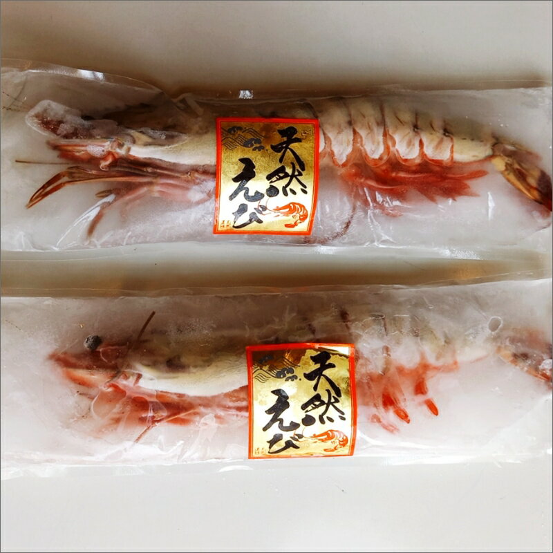 【ふるさと納税】特大 天然海老(有頭・2尾) 魚介類 エビ えび 有頭海老 2尾 エビフライ 海鮮 塩焼き 冷凍 ブラックタイガー 特大 天然 パエリア パスタ エビマヨ 手巻き バーベキュー BBQ【A5-318】【1204レビューCP】