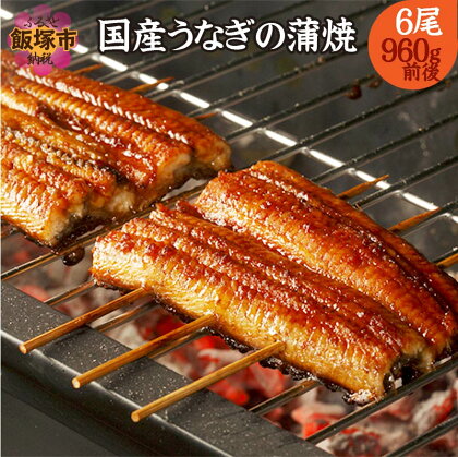 国産うなぎの蒲焼き(6尾) 国産 鰻 ウナギ うなぎ タレ 美味しい 真空パック 有頭の蒲焼き 贅沢 タレ たれ【F3-006】【1204レビューCP】