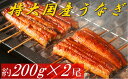 【ふるさと納税】【A2-011】魚市場厳選 国産うなぎの蒲焼...