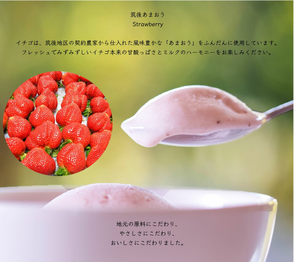 【ふるさと納税】福岡特産アイスクリーム【あまおう】12個セット ちっごお菓子工房 ピミル・オルペミ　スイーツ　ギフト