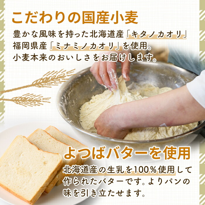 �ڤդ뤵��Ǽ�ǡۡ����٤롦���ѥ� or ���ǥ������ bloom�����Τ�������ѥ󥻥å�(���8��)�񻺾��� ����ʴ ��ÿ� ī�� ���̸��� �⡼�˥� ����� �ں� �ۻҥѥ� �١����꡼ ���� ����ѥ� ��￩ ������ �ɺҡ�Υ�������Բġ��ksg1674�ۡھ����ʥѥ�β� bloom��