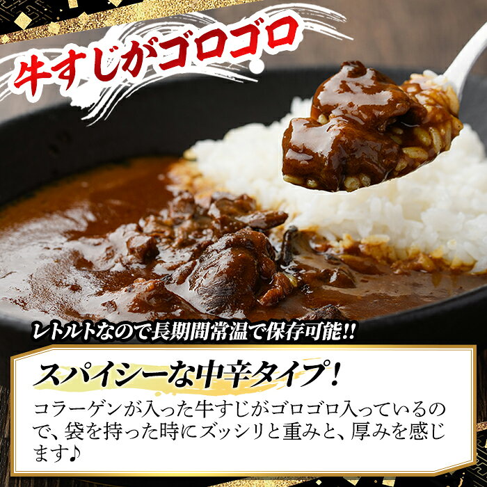 【ふるさと納税】博多和牛 牛すじカレー(計1kg・200g×5食)カレー 博多和牛 牛肉 黒毛和牛 牛すじ 国産 レトルト レトルトカレー 中辛 常温 常温保存＜離島配送不可＞【ksg1387】【マル五】 f402184-kasuga-10002552 福岡県春日市 サンプル画像3