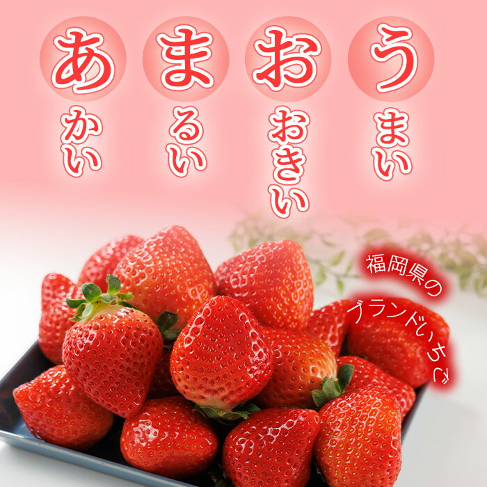【ふるさと納税】＜容量を選べる・全3回定期便・先行予約受付中！2026年2月上旬〜2026年4月下旬に順次発送予定＞ 博多あまおう (総計約1.5kg〜3kg) いちご 苺 フルーツ 果物 くだもの 家庭用 冷蔵 定期便 ＜離島配送不可＞【ksg1742・ksg1743】【農産物直売所ほたるの里】