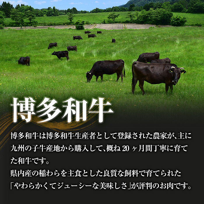 【ふるさと納税】＜訳あり・簡易包装＞ 博多和牛100％使用！ デミグラス ハンバーグ (計16個) 牛肉 和牛 博多和牛 牛 惣菜 おかず 冷凍 冷凍ハンバーグ 湯煎 温めるだけ レトルト 個包装 福岡 小分け 簡単調理 簡易包装 ＜離島配送不可＞【ksg1888】【大黒物産】 f402184-kasuga-10002869 福岡県春日市 サンプル画像3
