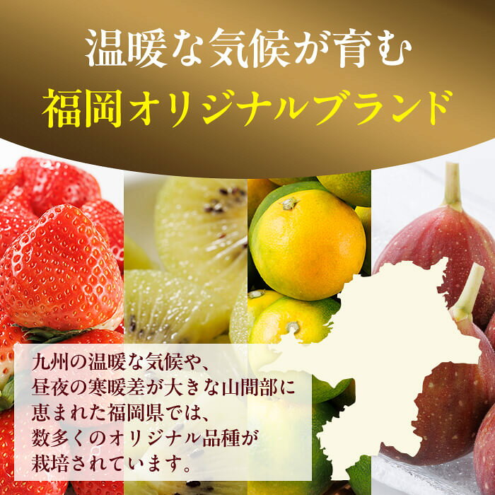 【ふるさと納税】＜全4回・定期便＞ 福岡ブランド！季節のご褒美 フルーツ定期便 (総計約8.8kg) あまおう とよみつひめ 早味かん 甘うぃ いちご 苺 いちじく みかん 蜜柑 キウイ フルーツ 果物 くだもの ＜離島配送不可＞【ksg1918】【農産物直売所ほたるの里】