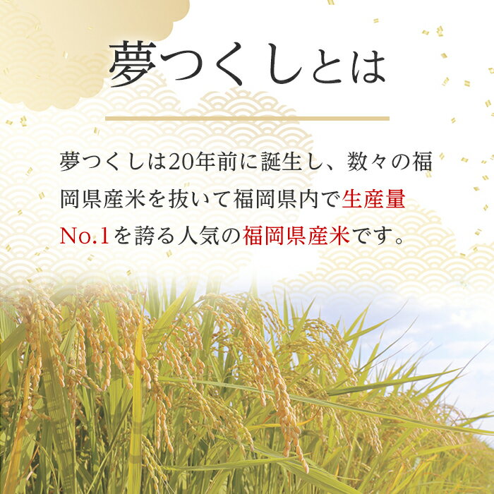 【ふるさと納税】＜容量が選べる＞福岡県産米食べ比べ＜無洗米＞「夢つくし」と「元気つくし」セット(計10kg or 20kg) お米 10キロ 20キロ ごはん ご飯 常温 常温保存【ksg0414・ksg0383】【朝ごはん本舗】