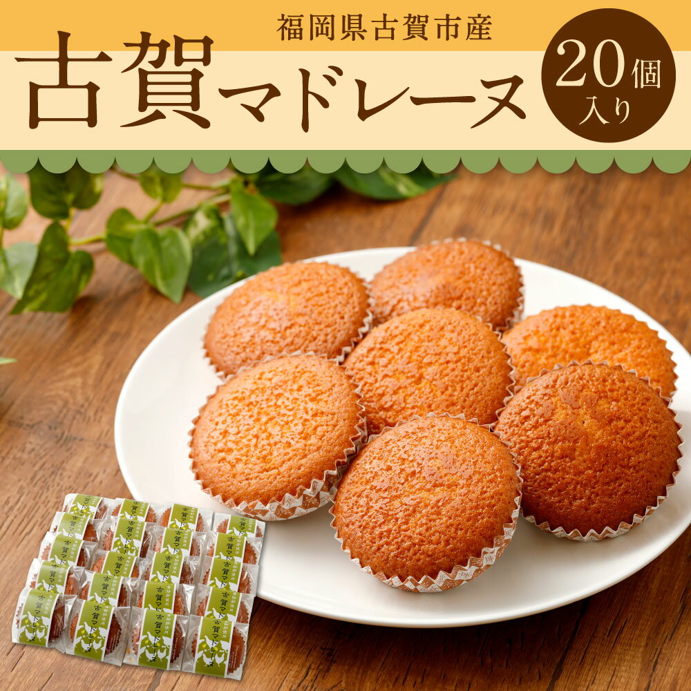 【ふるさと納税】古賀マドレーヌ 20個入り マドレーヌ 洋菓子 お菓子 ギフト 贈り物 手土産 おやつ 焼菓子 福岡県産 九州産 送料無料が大人気返礼品になっている理由とは　ふるさと納税　人気　返礼品　ランキング