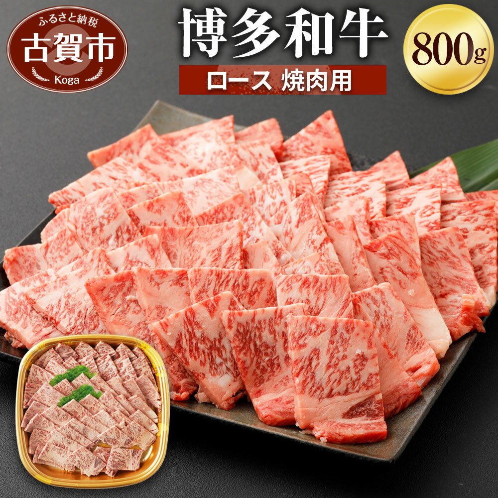 博多和牛 ロース焼肉用 800g 焼肉 牛肉 お肉 冷凍 福岡県産 国産 和牛 送料無料 (有)ヒロムラ