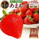 【ふるさと納税】先行予約 あまおう 合計約1,120g 約2