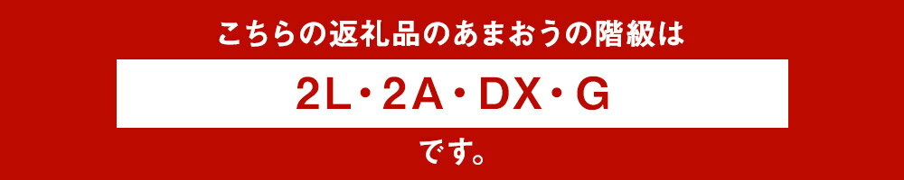 【ふるさと納税】先行予約 あまおう 合計約1,120g 約280g×4パック 楽天ランキング1位獲得 福岡県産 九州 イチゴ いちご 苺 果物 くだもの フルーツ 送料無料 ご家庭用【2020年12月〜2021年4月順次発送予定】