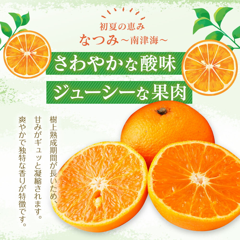 【ふるさと納税】 なつみ 3kg 柑橘 ナツミ 南津海 果物 くだもの フルーツ 福岡県産 送料無料 【2020年3〜4月頃から順次発送】