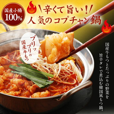 【ふるさと納税】地獄焼きホルモン 2人前 鶏家 2セット 一人鍋 もつ鍋 モツ ちゃんぽん麺付き 韓国風もつ鍋 福岡県産 冷凍 送料無料