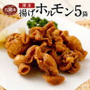 【ふるさと納税】博多揚げホルモン(5袋セット) ホルモン 国産豚 唐揚げ おつまみ 送料無料