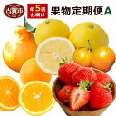 【ふるさと納税】果物定期便A 5回発送 2019年11〜12...