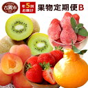 【ふるさと納税】果物定期便B 5回発送 2020年1月発送開...