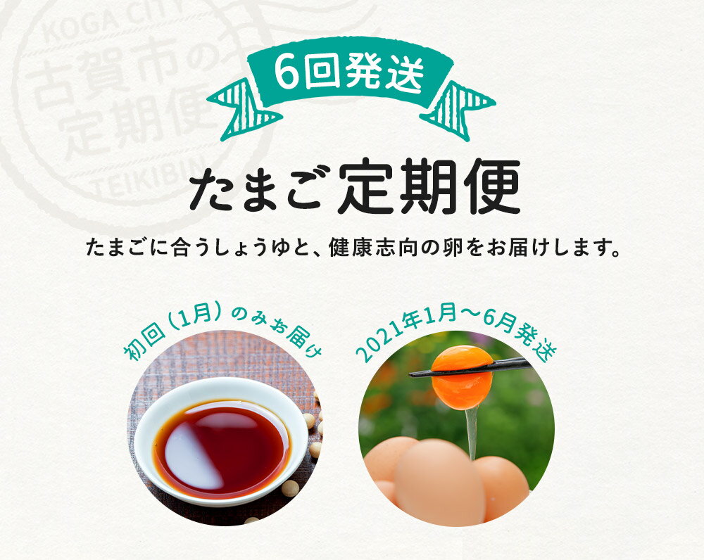 【ふるさと納税】たまご前期定期便 6回発送（初回のみ醤油付き・たまご20個）20個×6回 合計120個 定期便 6ヶ月 卵 おうはん卵 青柳養鶏場 送料無料 【2021年1月〜6月の計6回お届け】