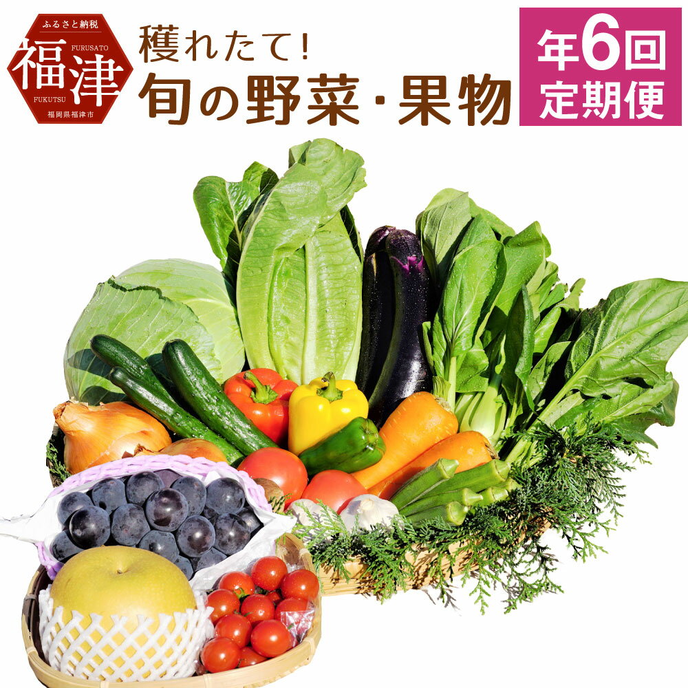 [年6回偶数月定期便]穫れたて! 旬の野菜・果物 定期便 冷蔵 あんずの里 10品目×6回 野菜 果物 フルーツ 春 旬 セット 詰め合わせ 福岡県産 九州産 国産 送料無料 [F6260]