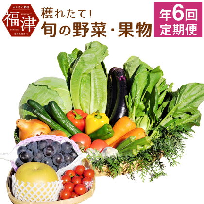 【年6回偶数月定期便】穫れたて! 旬の野菜・果物 定期便 冷蔵 あんずの里 10品目×6回 野菜 果物 フルーツ 春 旬 セット 詰め合わせ 福岡県産 九州産 国産 送料無料 [F6260]