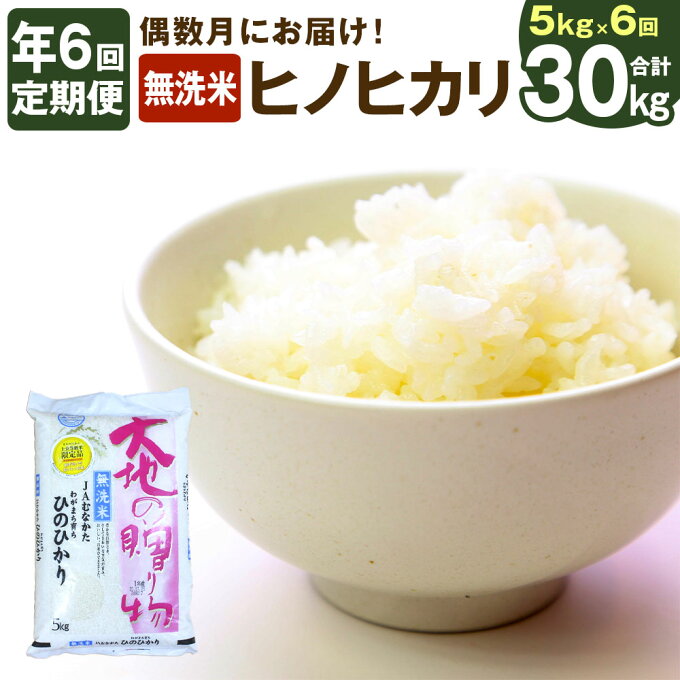 【ふるさと納税】【年6回偶数月定期便】12月開始 無洗米 ヒノヒカリ 5kg 新米 ...