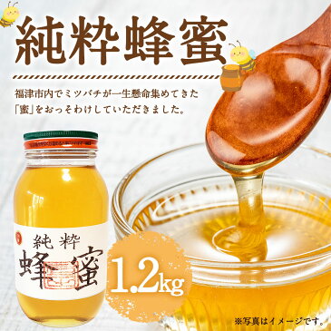 【ふるさと納税】【純粋 蜂蜜】 1.2kg 上田清商店 【ハチミツ/はちみつ】