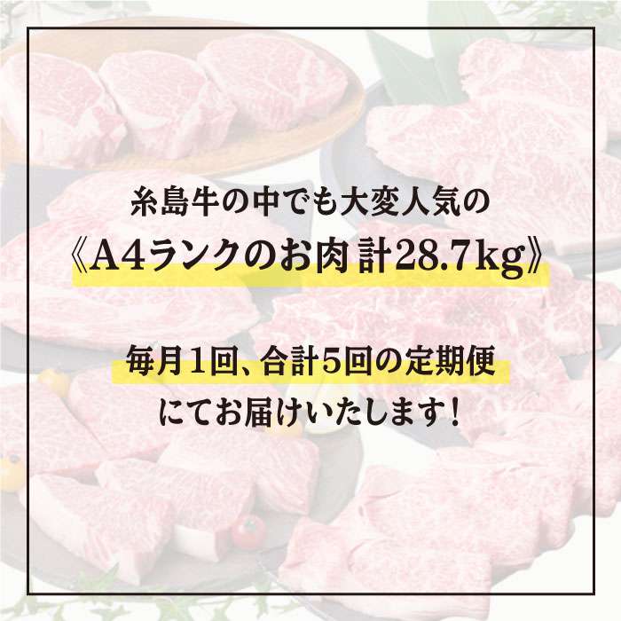 【ふるさと納税】【定期便】A4ランク福岡県産糸島黒毛和牛食べ比べセット 毎月1回合計5回でお届け 糸島ミートデリ工房 ACA075