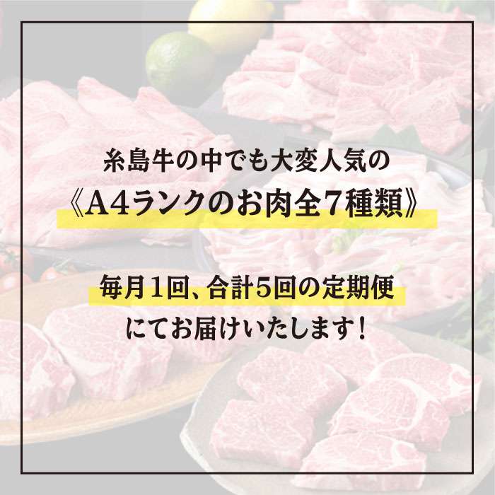 【ふるさと納税】美味しさ満載！贅沢お肉の定期便全5回(月1回) 4人家族用【福岡 糸島産 牛肉 豚肉 鶏肉 ステーキ しゃぶしゃぶ すき焼き ヒレ シャトーブリアン ロース 】 糸島ミートデリ工房 ACA083