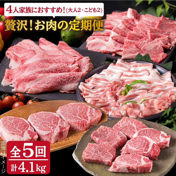 【ふるさと納税】美味しさ満載！贅沢お肉の定期便全5回(月1回) 4人家族用【福岡 糸島産 牛肉 豚肉 鶏肉 ステーキ しゃぶしゃぶ すき焼き ヒレ シャトーブリアン ロース 】 糸島ミートデリ工房 ACA083