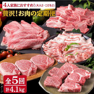 【ふるさと納税】美味しさ満載！贅沢お肉の定期便全5回(月1回) 4人家族用【福岡 糸島産 牛肉 豚肉 鶏肉 ステーキ しゃぶしゃぶ すき焼き ヒレ シャトーブリアン ロース 】 糸島ミートデリ工房 ACA083