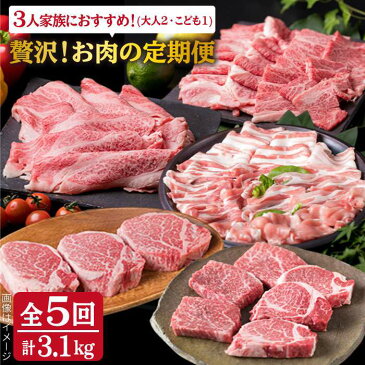 【ふるさと納税】美味しさ満載！贅沢お肉の定期便全5回(月1回) 3人用【福岡 糸島産 牛肉 豚肉 鶏肉 ステーキ しゃぶしゃぶ すき焼き ヒレ シャトーブリアン ロース 】 糸島ミートデリ工房 ACA084