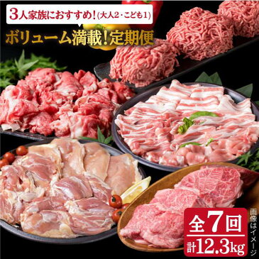 【ふるさと納税】家族でたっぷり!ボリューム満載定期便全7回(月1回) 3人用【福岡 糸島産 牛肉 豚肉 鶏肉 切り落とし ミンチ ハンバーグ 餃子】糸島ミートデリ工房 ACA086