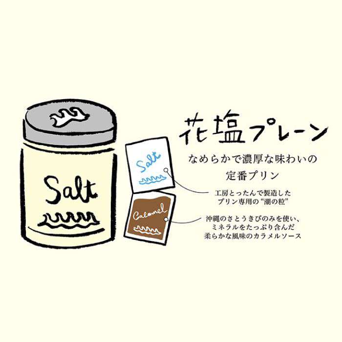 【ふるさと納税】【4月お届け分】しおをかけてたべるプリン　花塩プレーン6個セット AEB001-5が大人気返礼品になっている理由とは　ふるさと納税　人気　返礼品　ランキング
